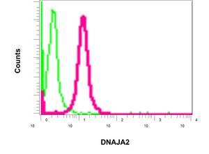 Flow Cytometry (Intracellular) - Anti-DNAJA2 antibody [EPR11302(B)] - BSA and Azide free (AB249318), expandable thumbnail