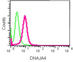 Flow Cytometry (Intracellular) - Anti-DNAJA4 antibody [EPR8756] - BSA and Azide free (AB250838)