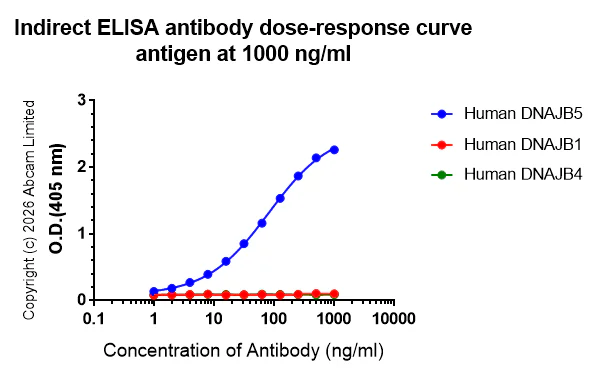 Indirect ELISA - Anti-DNAJB5 antibody [EPR31030-6] (AB326999)