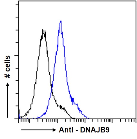 Flow Cytometry (Intracellular) - Anti-DNAJB9 antibody (AB118282), expandable thumbnail