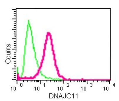 Flow Cytometry (Intracellular) - Anti-DNAJC11 antibody [EPR15065(B)] - BSA and Azide free (AB250670)