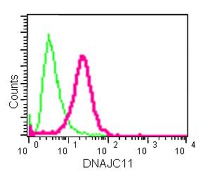 Flow Cytometry (Intracellular) - Anti-DNAJC11 antibody [EPR15065(B)] - C-terminal (AB183518), expandable thumbnail