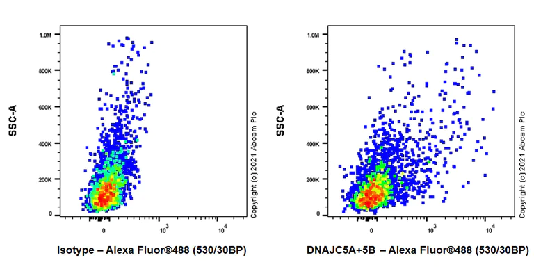 Flow Cytometry - Anti-DNAJC5B antibody [EPR24152-62] - BSA and Azide free (AB281840)