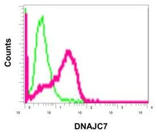 Flow Cytometry (Intracellular) - Anti-DNAJC7 antibody [EPR13349] - BSA and Azide free (AB250129)