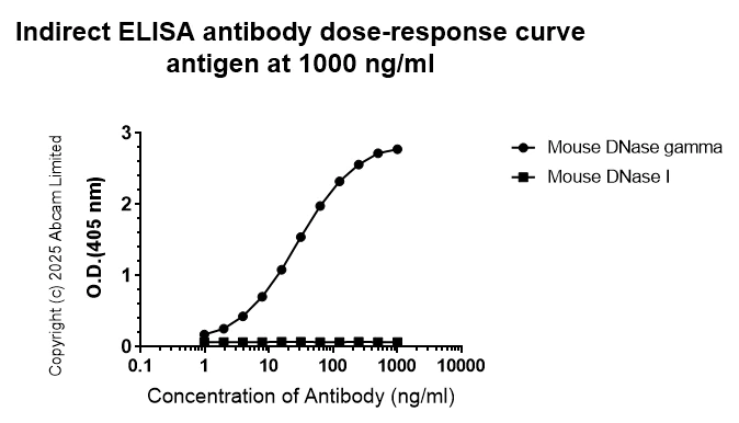 ELISA - Anti-DNase gamma antibody [EPR30746-557] (AB324943)