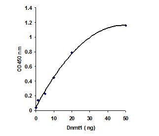 Functional Studies - DNMT Activity Assay Kit (Colorimetric) (AB113467), expandable thumbnail