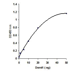 Functional Studies - DNMT Activity Assay Kit (Colorimetric) (AB113467)