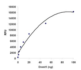 Functional Studies - DNMT Activity Assay Kit (Fluorometric) (AB113468), expandable thumbnail