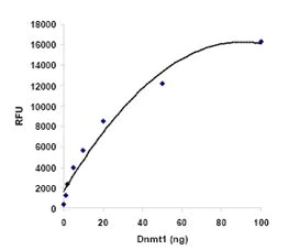 Functional Studies - DNMT Activity Assay Kit (Fluorometric) (AB113468)
