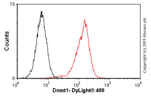 Anti-Dnmt1 antibody [60B1220.1]