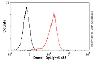 Flow Cytometry - Anti-Dnmt1 antibody [60B1220.1] (AB13537)