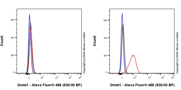 Flow Cytometry (Intracellular) - Anti-Dnmt1 antibody [EPR28422-79] - BSA and Azide free (AB320818)