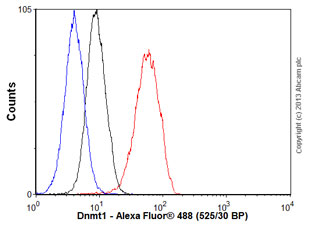 Flow Cytometry (Intracellular) - Anti-Dnmt1 antibody [EPR3522] - BSA and Azide free (AB207601), expandable thumbnail