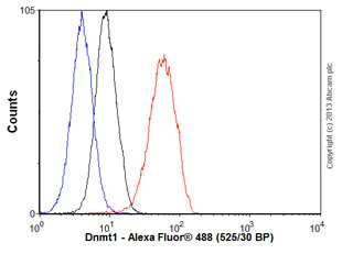 Flow Cytometry (Intracellular) - Anti-Dnmt1 antibody [EPR3522] - BSA and Azide free (AB207601)