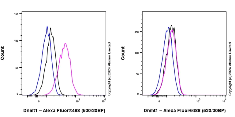 Flow Cytometry (Intracellular) - Anti-Dnmt1 antibody [RM1192] (AB317845)