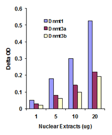 Functional Studies - DNMT1 Assay Kit (AB113469), expandable thumbnail