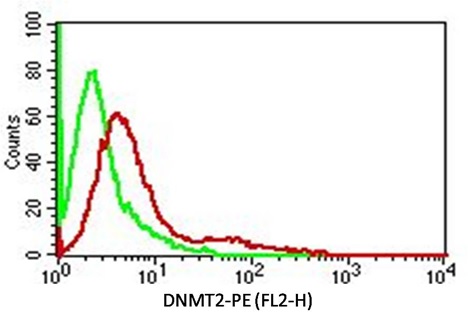 Flow Cytometry - Anti-Dnmt2 antibody [ABM1H70] (AB220175)