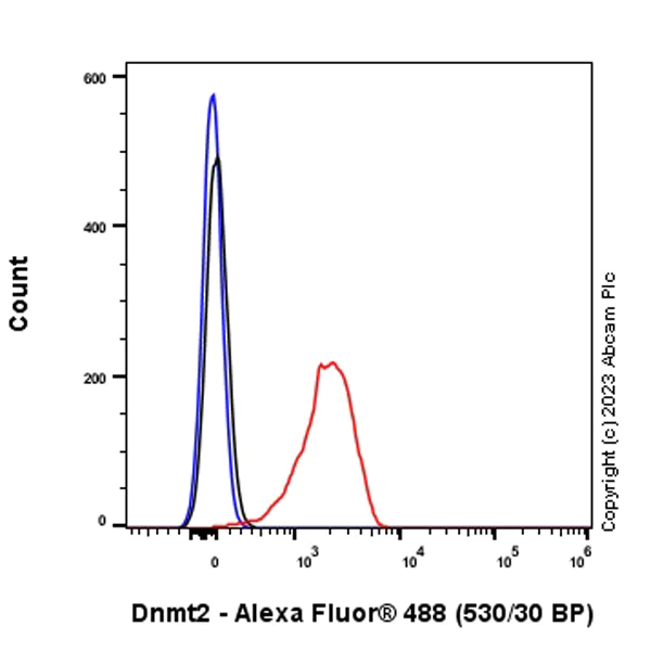 Flow Cytometry (Intracellular) - Anti-Dnmt2 antibody [EPR24232-63] - BSA and Azide free (AB308121)