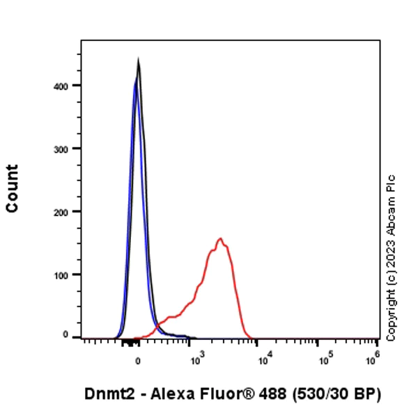 Flow Cytometry (Intracellular) - Anti-Dnmt2 antibody [EPR24232-63] - BSA and Azide free (AB308121)