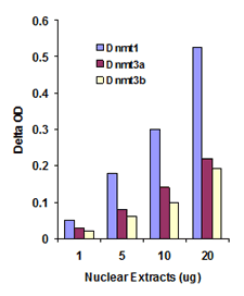 Functional Studies - DNMT3A Assay Kit (AB113470)