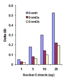Functional Studies - DNMT3A Assay Kit (AB113470)