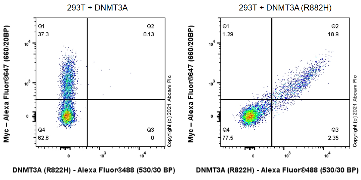 Flow Cytometry (Intracellular) - Anti-Dnmt3a (mutated R882H) antibody [EPR24337-44] (AB271004), expandable thumbnail