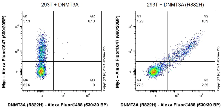 Flow Cytometry (Intracellular) - Anti-Dnmt3a (mutated R882H) antibody [EPR24337-44] (AB271004)