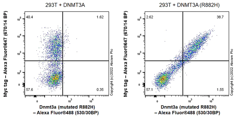 Flow Cytometry (Intracellular) - Anti-Dnmt3a (mutated R882H) antibody [EPR27389-11] - BSA and Azide free (AB307541)