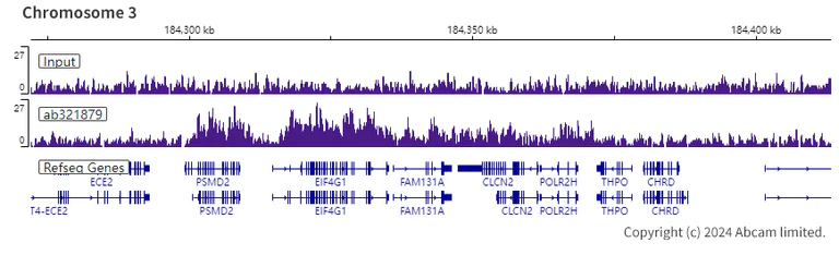 ChIP-sequencing - Anti-Dnmt3b antibody [EPR26716-583] (AB321879)
