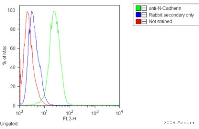 Flow Cytometry - Donkey F(ab')2 Anti-Rabbit IgG H&L (PE) preadsorbed (AB7007), expandable thumbnail