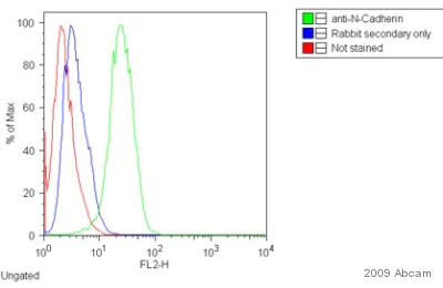 Flow Cytometry - Donkey F(ab')2 Anti-Rabbit IgG H&L (PE) preadsorbed (AB7007)