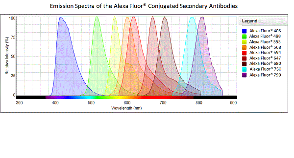 Alexa Fluor® - Donkey Anti-Goat IgG H&L (Alexa Fluor® 488) (AB150129), expandable thumbnail