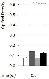 ELISA - Donkey Anti-Rabbit IgG H&L (HRP) (AB16284)