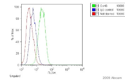 Flow Cytometry - Donkey anti-Rat IgG H&L (PE) (AB7008)