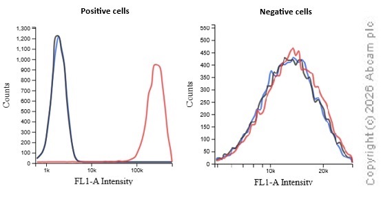 Flow Cytometry - Donkey Anti-Sheep IgG H&L (Alexa Fluor® 488) (AB150177)