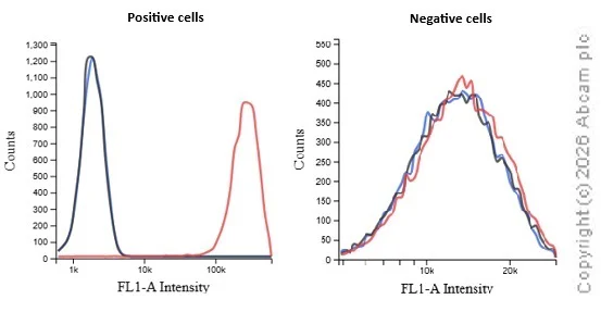 Flow Cytometry - Donkey Anti-Sheep IgG H&L (Alexa Fluor® 488) (AB150177)
