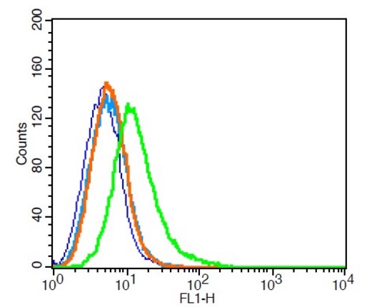 Flow Cytometry - Anti-Dopamine Transporter antibody (AB214470), expandable thumbnail