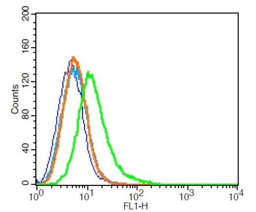 Flow Cytometry - Anti-Dopamine Transporter antibody (AB214470)