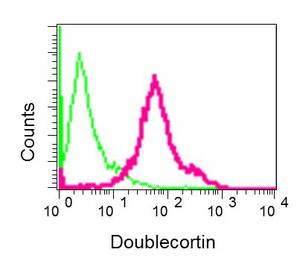 Flow Cytometry (Intracellular) - Anti-Doublecortin antibody [EPR10935(B)] - BSA and Azide free (AB249418), expandable thumbnail