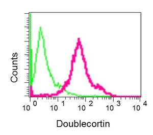 Flow Cytometry (Intracellular) - Anti-Doublecortin antibody [EPR10935(B)] - BSA and Azide free (AB249418)