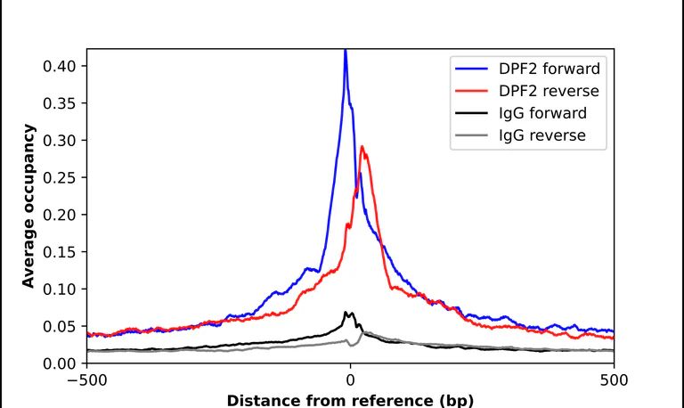 ChIP - Anti-DPF2 Antibody (AB327244)