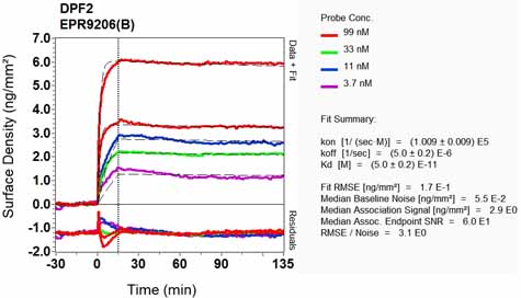 OI-RD Scanning - Anti-DPF2/REQ antibody [EPR9206(B)] - BSA and Azide free (ab232327), expandable thumbnail