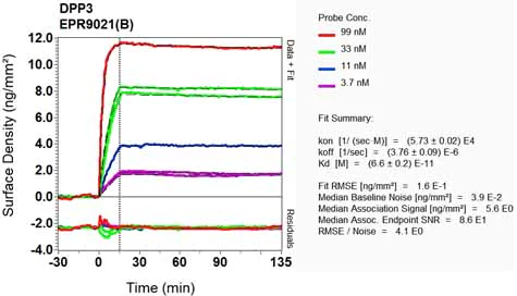 OI-RD Scanning - Anti-DPP3 antibody [EPR9021(B)] - BSA and Azide free (AB248633)