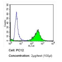Flow Cytometry - Anti-DPP4 antibody [236.3] (AB119346), expandable thumbnail