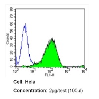 Flow Cytometry - Anti-DPP4 antibody [236.3] (AB119346), expandable thumbnail