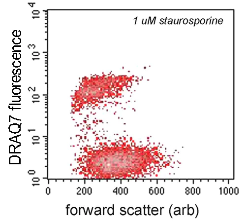 Flow Cytometry - DRAQ7™ (AB109202)