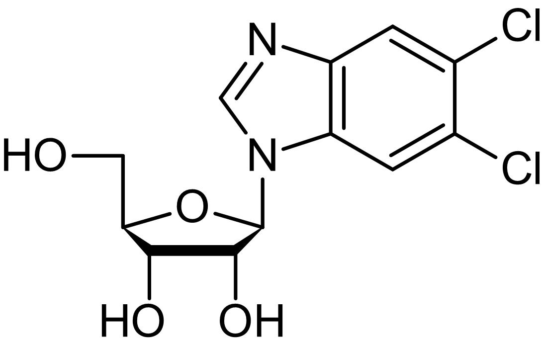 DRB (Benzimidazole), Casein kinase II inhibitor