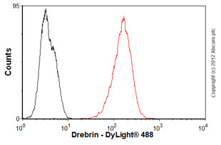 Flow Cytometry (Intracellular) - Anti-Drebrin antibody [mAbcam60932] (AB60932)