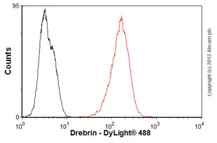 Flow Cytometry (Intracellular) - Anti-Drebrin antibody [mAbcam60932] (AB60932)