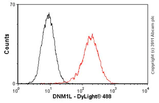 Flow Cytometry - Anti-DRP1 antibody [3B5] (AB56788)